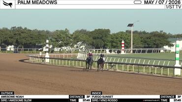 Awesome Noah (Outside) and Fuego Sunset Worked 3 Furlongs in 37.45 at Palm Meadows on May 7th, 2026