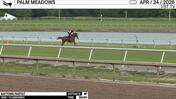 Baytown Parfait Worked 4 Furlongs in 50.50 at Palm Meadows on April 24th, 2026
