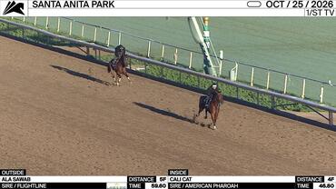 Ala Sawab (Outside) and Cali Cat Worked at Santa Anita Park on October 25th, 2026