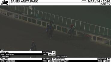 Poor Val (Outside), Bull Tiz (Middle) and Silver Ice Worked 5 Furlongs at Santa Anita Park on March 14th, 2026
