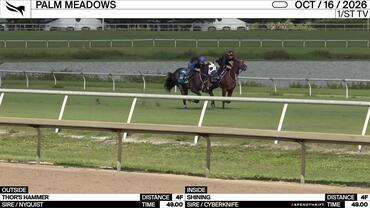 Thor's Hammer (Outside) and Shining Worked 4 Furlongs in 49.00 at Palm Meadows on October 16th, 2026