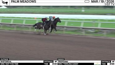 Rhetorical (Outside) and Profound Worked 4 Furlongs in 47.95 at Palm Meadows on March 19th, 2026