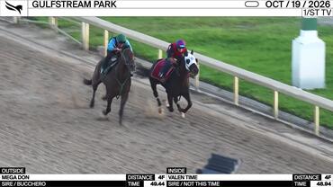 Mega Don (Outside) and Valen Time Worked 4 Furlongs at Gulfstream Park on October 19th, 2026