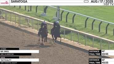 Mr. Bres (Outside) and Tacticality Worked 4 Furlongs in 49.55 at Saratoga on August 17th, 2025