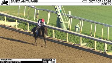 White Storm Worked 4 Furlongs in 48.00 at Santa Anita Park on October 7th, 2026