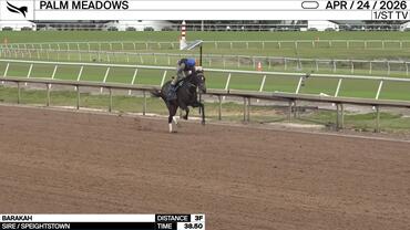 Barakah Worked 3 Furlongs in 38.50 at Palm Meadows on April 24th, 2026