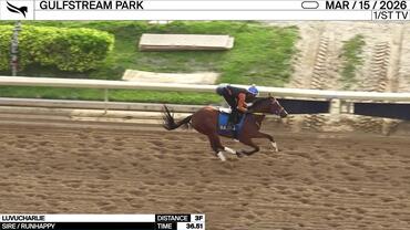 Luvucharlie Worked 3 Furlongs in 36.51 at Gulfstream Park on March 15th, 2026