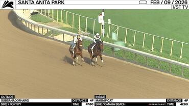 Subsanador (Outside) and Magnificat Worked 4 Furlongs in 47.60 at Santa Anita Park on February 9th, 2026