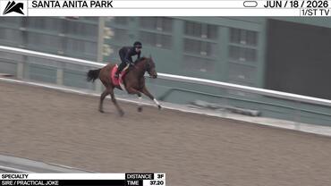 Specialty Worked 3 Furlongs in 37.20 at Santa Anita Park on June 18th, 2026