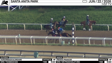 Honormagicaldreams (Tizamagician)(OUT)_Private Prancer (Sir Prancealot (IRE))(IN)_Val Brinkerhoff_SA_260622