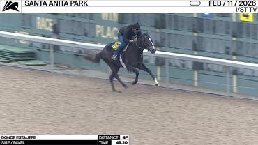 Donde Esta Jefe Worked 4 Furlongs in 49.20 at Santa Anita Park on February 11th, 2026