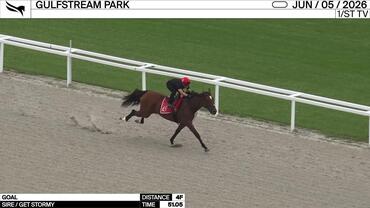 Goal Worked 4 Furlongs in 51.05 at Gulfstream Park on June 5th, 2026