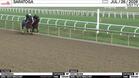 Tagermeen (Outside) and Holy Seven Worked 5 Furlongs in 1:01.00 at Saratoga on July 26th, 2026