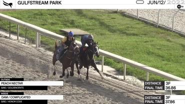 Peach Nectar (Outside) and Honor D Lady Worked 3 Furlongs at Gulfstream Park on June 12th, 2022