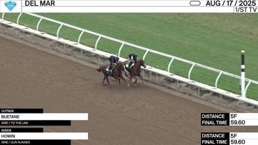 Buetane (Outside) and Howin Worked 5 Furlongs in 59.60 at Del Mar on August 17th, 2025