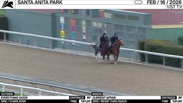 Everything Good (Outside) and Current Affair Worked 5 Furlongs in 1:01.20 at Santa Anita Park on February 16th, 2026