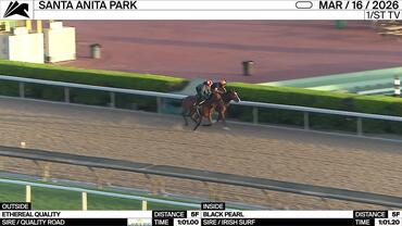 Ethereal Quality (Outside) and Black Pearl Worked 5 Furlongs at Santa Anita Park on March 16th, 2026