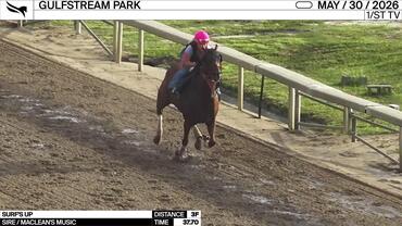 Surf's Up Worked 3 Furlongs in 37.70 at Gulfstream Park on May 30th, 2026