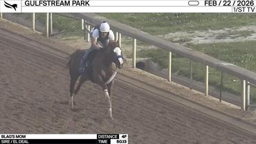 Blag's Mom Worked 4 Furlongs in 50.13 at Gulfstream Park on February 22nd, 2026