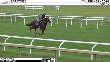 Feline Curious Worked 4 Furlongs in 51.00 at Saratoga on June 22nd, 2026