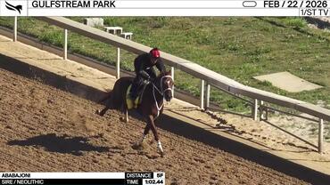 Ababajoni Worked 5 Furlongs in 1:02.44 at Gulfstream Park on February 22nd, 2026