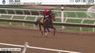 Forever Young Galloped at Del Mar on October 25th, 2025
