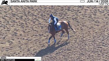 Zedan Jogged at Santa Anita Park on June 14th, 2026
