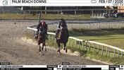 Icecreamforevryone (Outside) and an Unnamed Horse out of the Dam Moondance Worked 3 Furlongs in 37.01 at Palm Beach Downs on February 7th, 2026