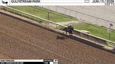 Baby Princess Worked 3 Furlongs in 37.11 at Gulfstream Park on June 11th, 2026