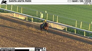 Greenwich Village Worked 4 Furlongs in 49.80 at Santa Anita Park on March 6th, 2026