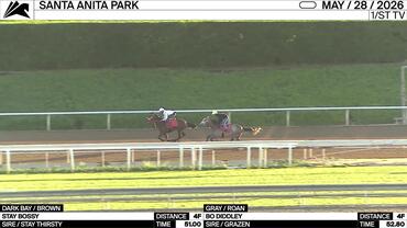 Stay Bossy (Dark Bay) and Bo Diddley Worked 4 Furlongs at Santa Anita Park on May 28th, 2026