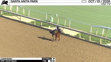 Luxor Magic Worked 3 Furlongs in 36.80 at Santa Anita Park on October 1st, 2026