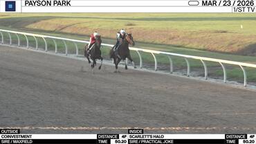 Coinvestment (Outside) and Scarlett's Halo Worked 4 Furlongs in 50.20 at Payson Park on March 23rd, 2026