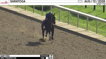 Baby Yoda Worked 4 Furlongs in 48.76 at Saratoga on August 12th, 2026