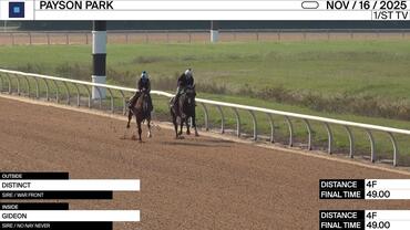 Distinct (Outside) and Gideon Worked 4 Furlongs in 49.00 at Payson Park on November 16th, 2025
