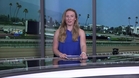 Preview of The Woody Stephens Stakes on June 7th, 2025