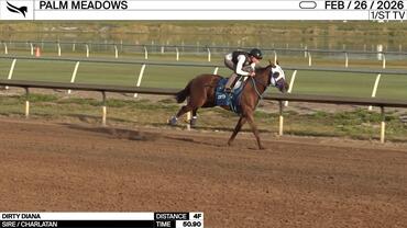 Dirty Diana Worked 4 Furlongs in 50.90 at Palm Meadows on February 26th, 2026