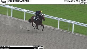 Royally Blue Worked 4 Furlongs in 48.86 at Gulfstream Park on March 20th, 2026