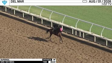 Supernal Worked 4 Furlongs in 48.40 at Del Mar on August 1st, 2026