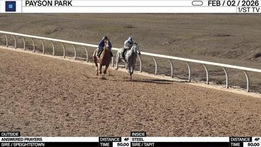 Answered Prayers (Outside) and Steel Worked 4 Furlongs in 50.00 at Payson Park on February 2nd, 2026