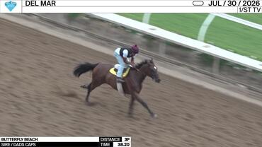 Butterfly Beach Worked 3 Furlongs in 38.20 at Del Mar on July 30th, 2026