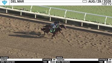 Domus (Outside) and Toaster Worked 5 Furlongs in 58.80 at Del Mar on August 29th, 2026