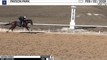 Oxford Street Worked 3 Furlongs in 38.00 at Payson Park on February 2nd, 2026