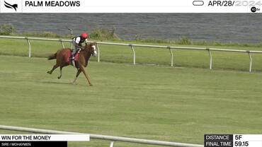 Win for the Money Worked 5 Furlongs in 59.15 at Palm Meadows on April 28th, 2024