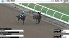 Medoro (Outside) and Sasafran Worked at Del Mar on August 17th, 2025