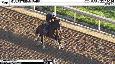 Slim Slow Slider Worked 4 Furlongs in 49.69 at Gulfstream Park on March 22nd, 2026
