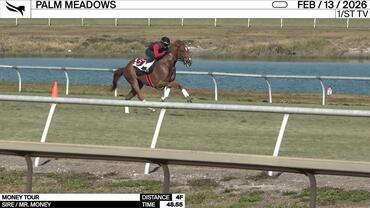 Money Tour Worked 4 Furlongs in 48.55 at Palm Meadows on February 13th, 2026