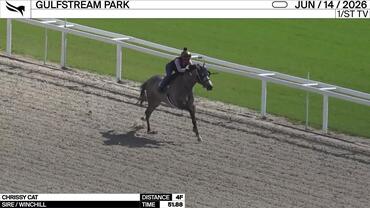 Chrissy Cat Worked 4 Furlongs in 51.88 at Gulfstream Park on June 14th, 2026