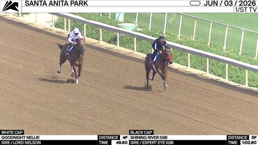Goodnight Nellie (White Cap) and Shining River Worked at Santa Anita Park on June 3rd, 2026