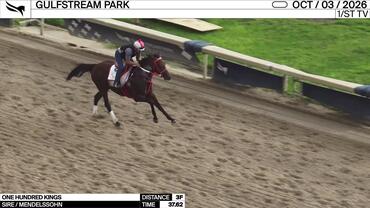 One Hundred Kings Worked 3 Furlongs in 37.62 at Gulfstream Park on October 3rd, 2026